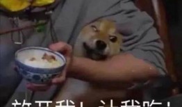 娱乐吃瓜酱带上了手铐,手铐事件引发网友热议