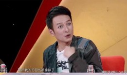 何炅被维嘉爆料视频播放