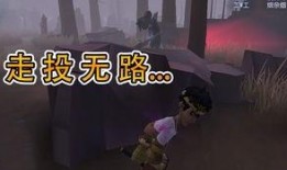 博士剧情原神爆料视频,神秘博士与神秘力量的奇幻冒险